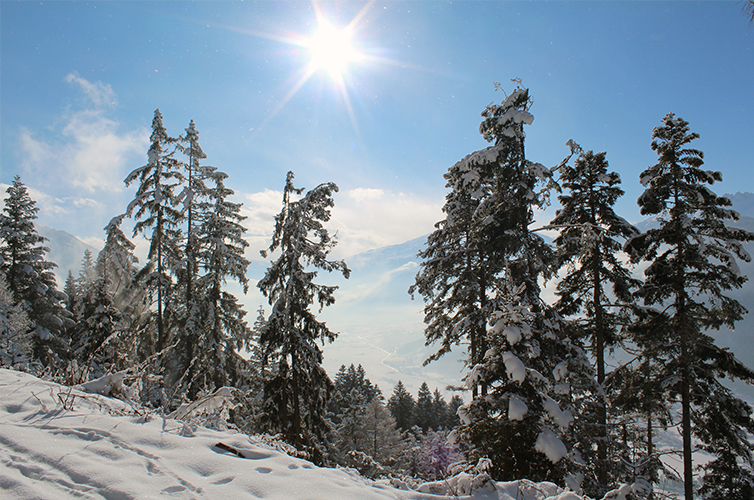 alpbach-austria