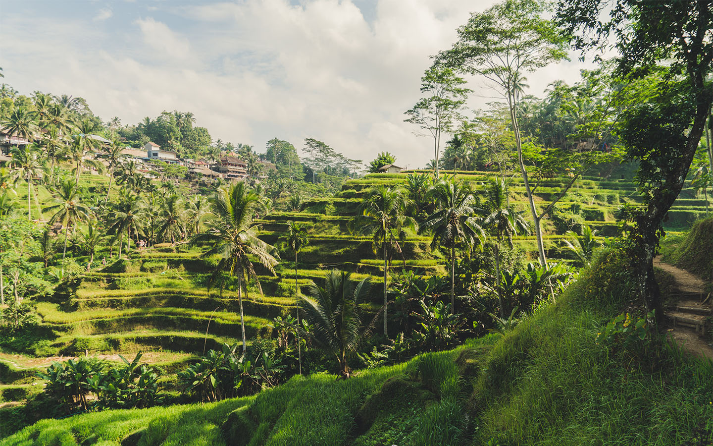 StudentUniverse UK I Bali