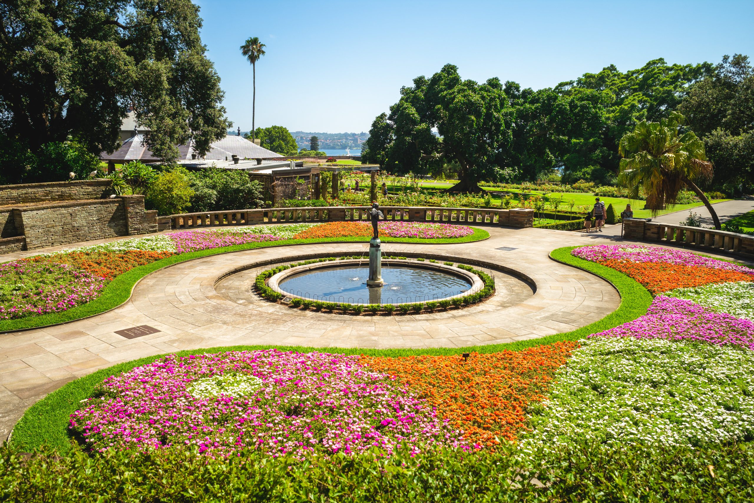 Blooming pink and orange flowers in the Royal Botanic Gardens in Sydney, Australia.